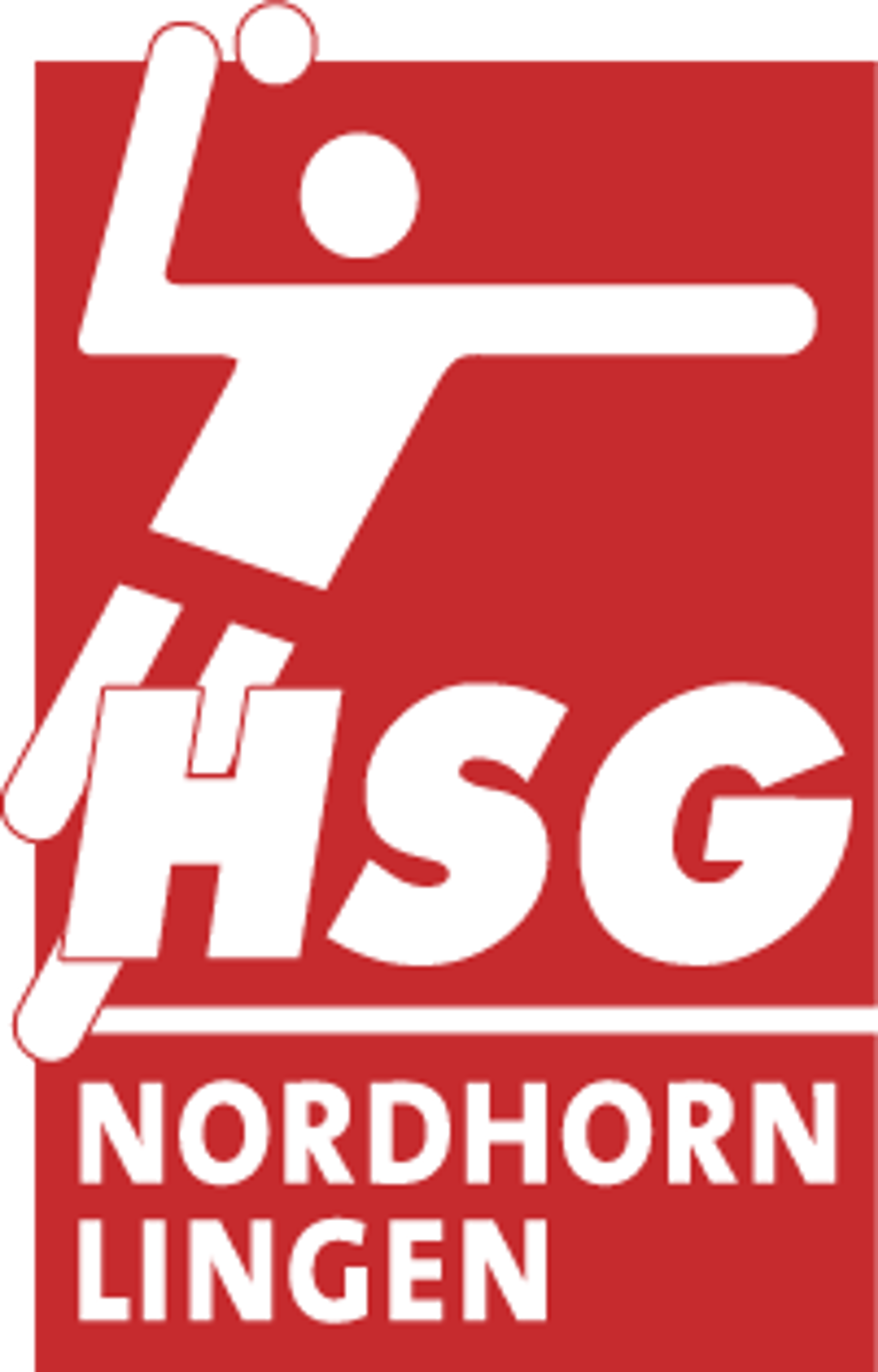 HSG logo