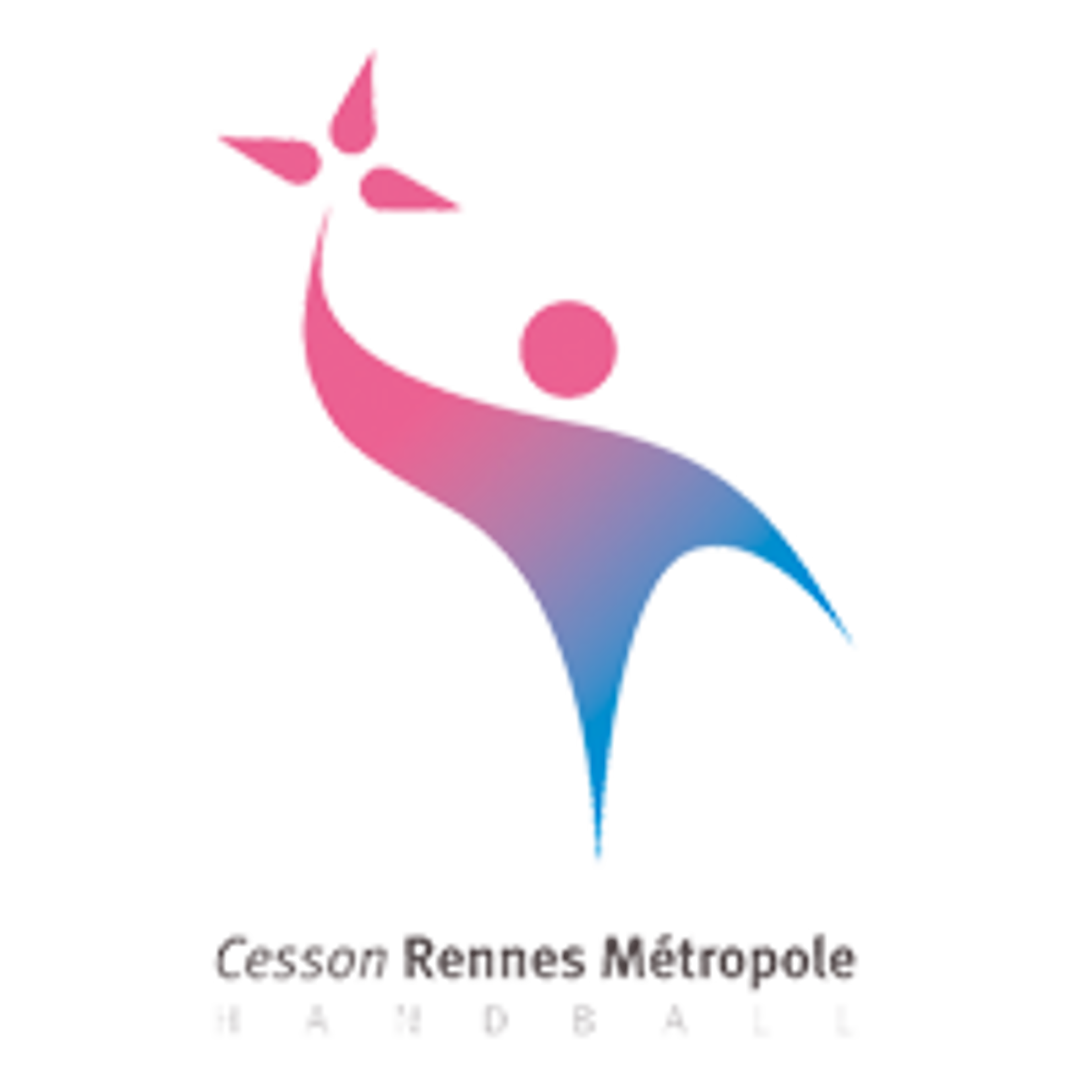 Cesson Rennes logo