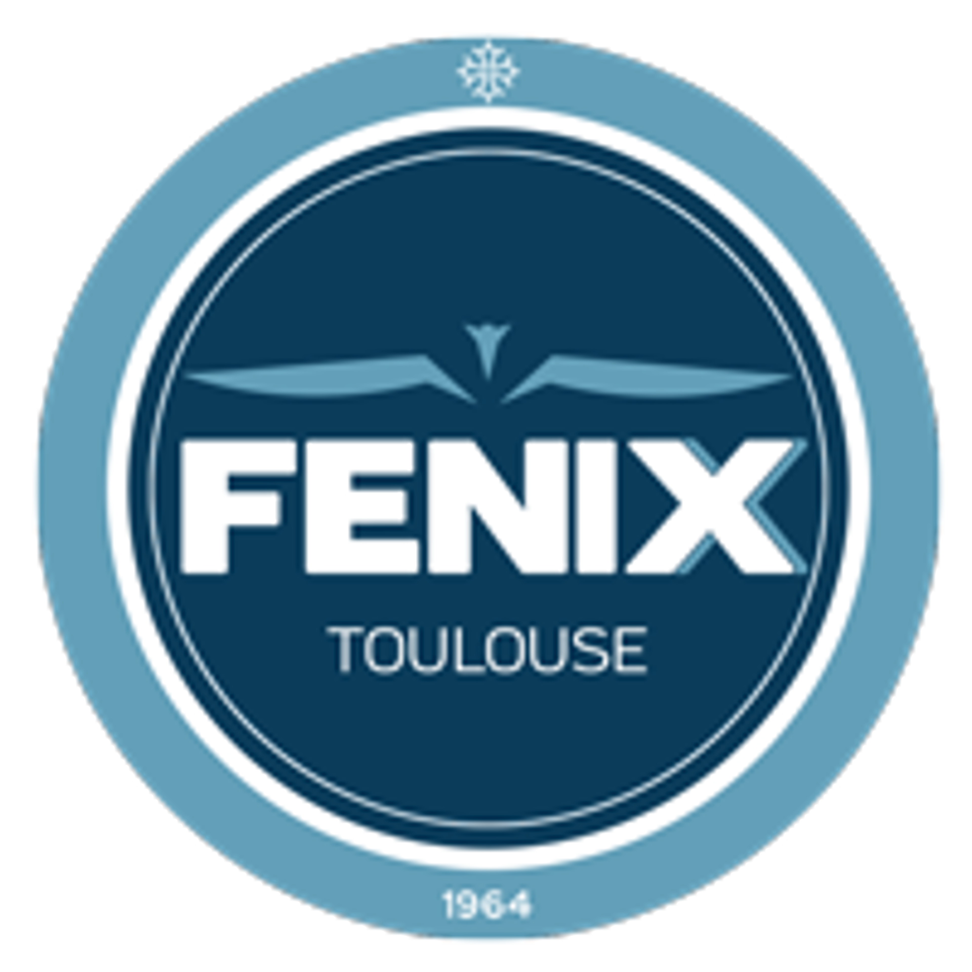 Toulouse logo