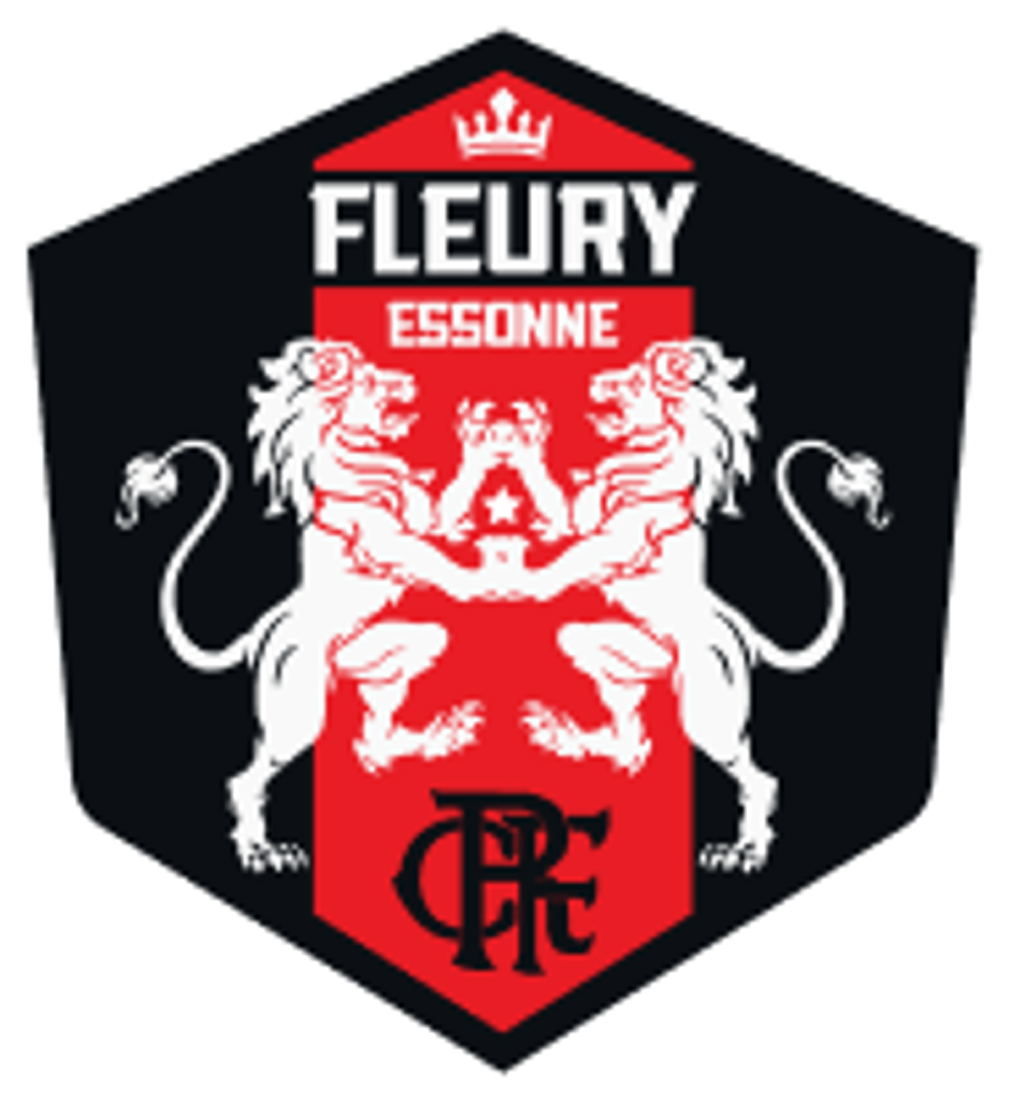 Fleury 91 logo