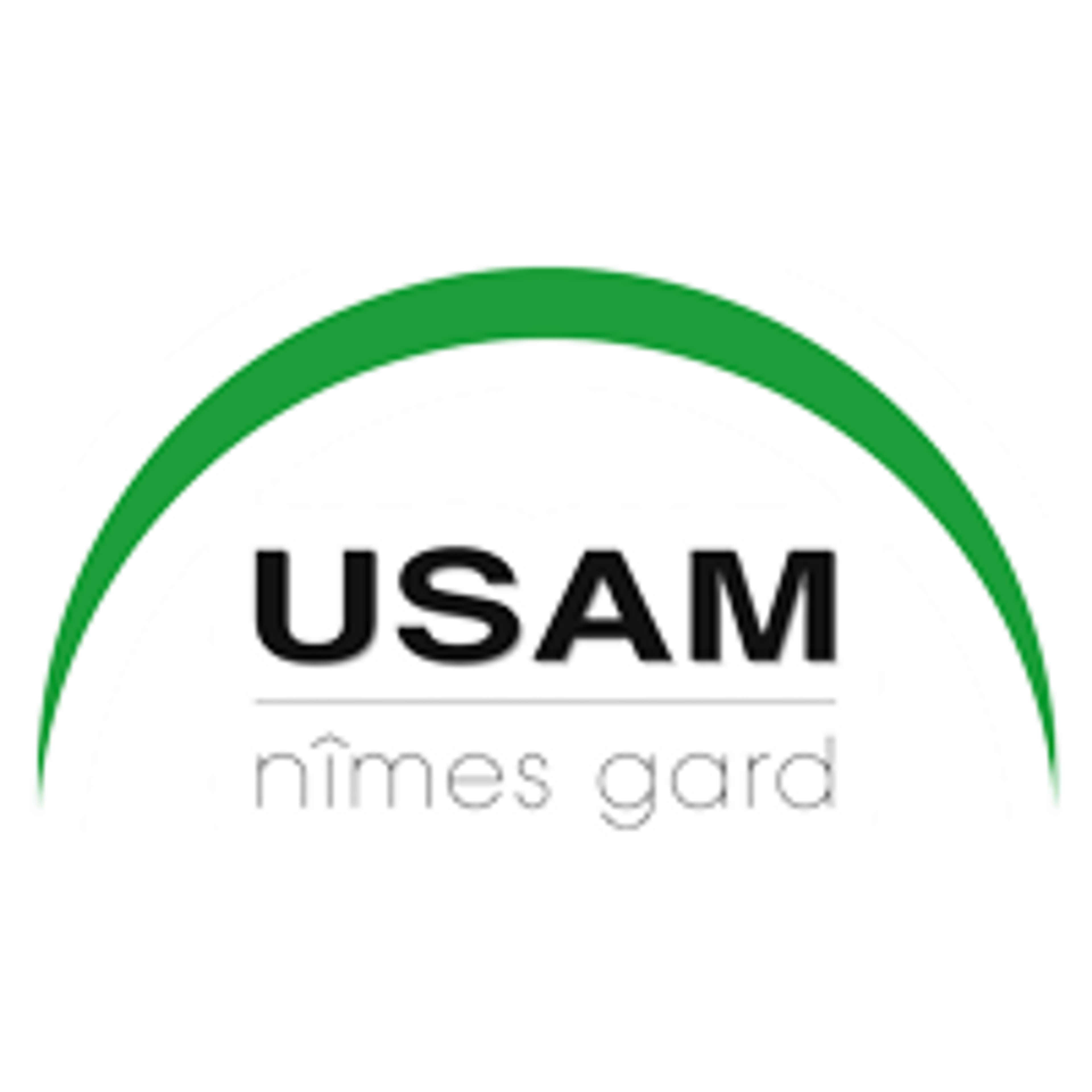 Nîmes logo